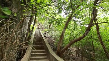 森林中的古楼梯